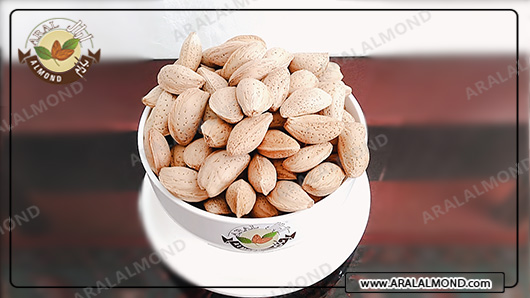 مرکز صادرات مغز بادام مامایی