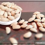 قیمت بادام مامایی صادراتی سامان 1401