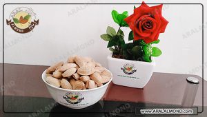 فروش عمده مغز بادام مامایی درشت و با کیفیت