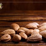 قیمت بادام ربیع، کاربرد های آن و بررسی تفاوت بادام ربیع با بادام مامایی