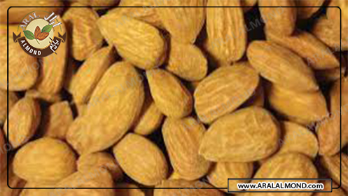 مرکز فروش بادام پوست کاغذی