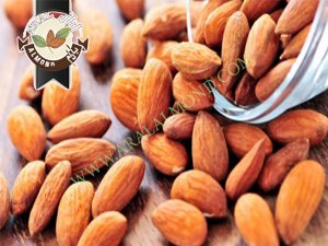 نمایندگی عرضه بادام افغان درجه یک