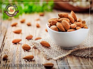 مرکز صادرات بادام پوست کاغذی درجه یک