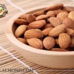 خرید اینترنتی بادام خارجی با قیمت مناسب
