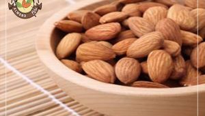 خرید اینترنتی بادام خارجی با قیمت مناسب