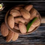 فروش بادام زرین با پوست به صورت عمده