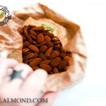 خرید بادام زرین امریکایی