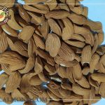 فروشگاه بادام شاهرودی ارزان قیمت