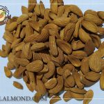 قیمت خرید عمده مغز بادام در ایران