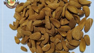 قیمت خرید عمده مغز بادام در ایران