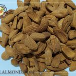خرید و فروش مغز بادام شاهرودی با قیمت مناسب