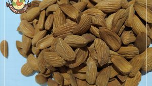 خرید و فروش مغز بادام شاهرودی با قیمت مناسب
