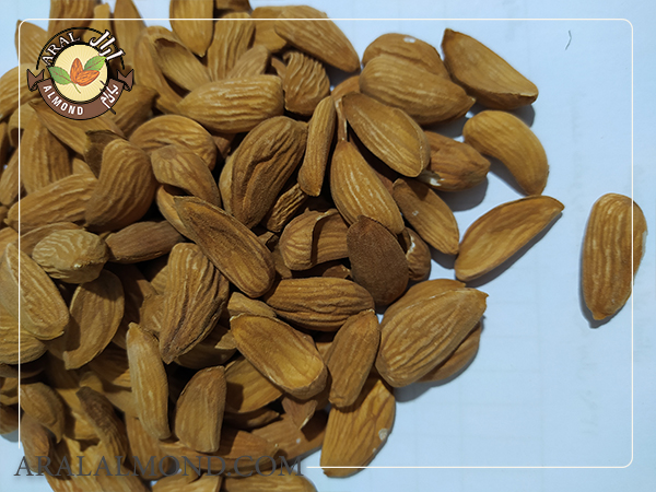 فروش بادام درختی ارزان