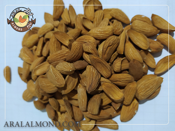 خرید و فروش مغز بادام شاهرودی