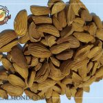 تولید کننده مغز بادام شاهرودی ارزان