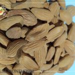 سایت فروش عمده بادام سنگی مرغوب ایرانی