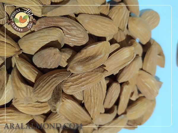 سایت فروش عمده بادام سنگی مرغوب ایرانی