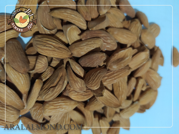 سایت فروش عمده بادام سنگی