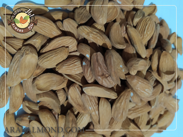 سفارش اینترنتی مغز بادام