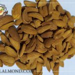 خرید اینترنتی مغز بادام عمده با قیمت مناسب