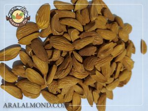 خرید اینترنتی مغز بادام عمده با قیمت مناسب