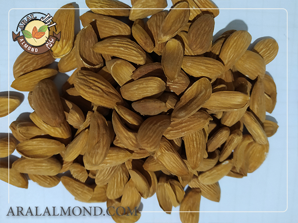 سفارش مغز بادام شاهرودی