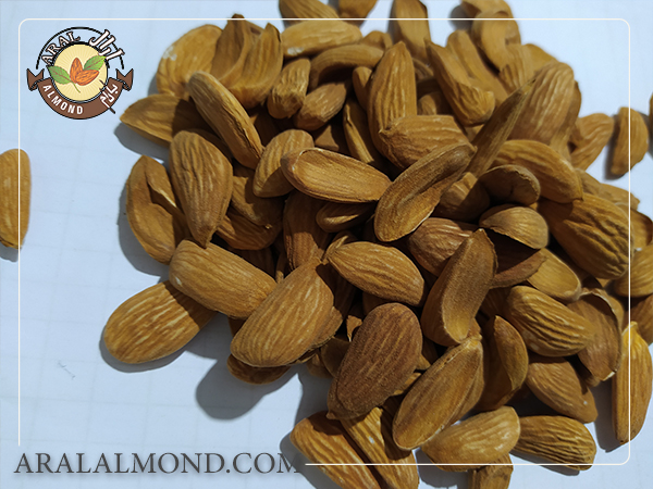 سفارش بادام در ایران