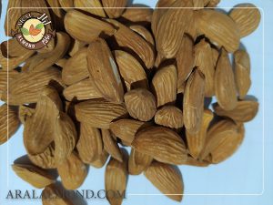 خرید مغز بادام شاهرودی ایرانی