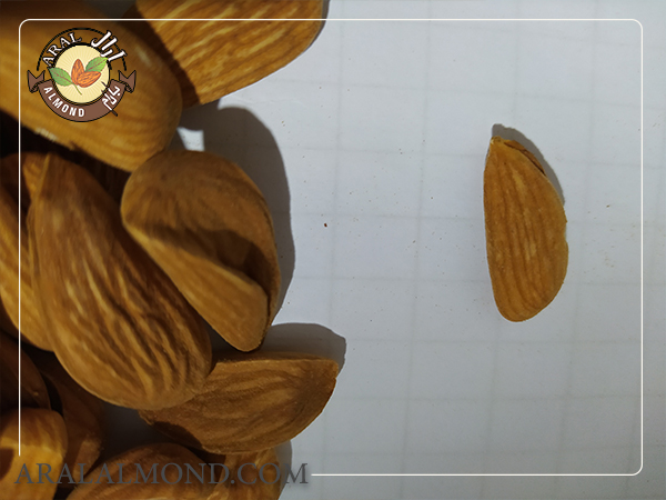 خرید مغز بادام شاهرودی