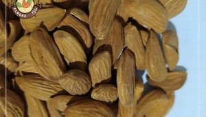 خرید بادام شاهرودی درجه یک