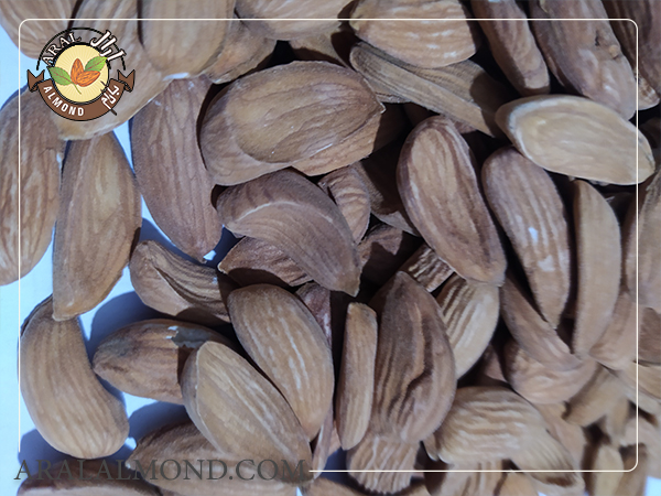 خرید و فروش مغز بادام شاهرودی