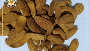 سفارش کلی مغز بادام جهت صادرات