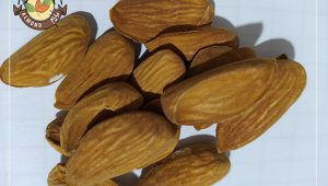 سفارش بادام در ایران از طریق وب سایت