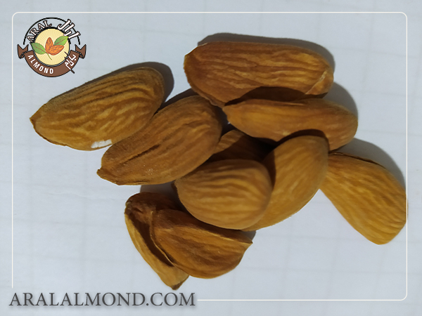 سفارش مغز بادام شاهرودی