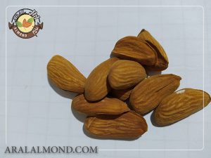 سفارش مغز بادام شاهرودی درجه یک