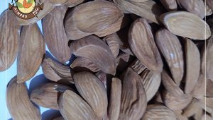 خرید اینترنتی مغز بادام شاهرودی سامان