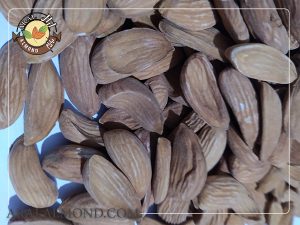 خرید اینترنتی مغز بادام شاهرودی سامان