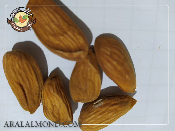 سفارش اینترنتی مغز بادام شاهرودی شهرکرد