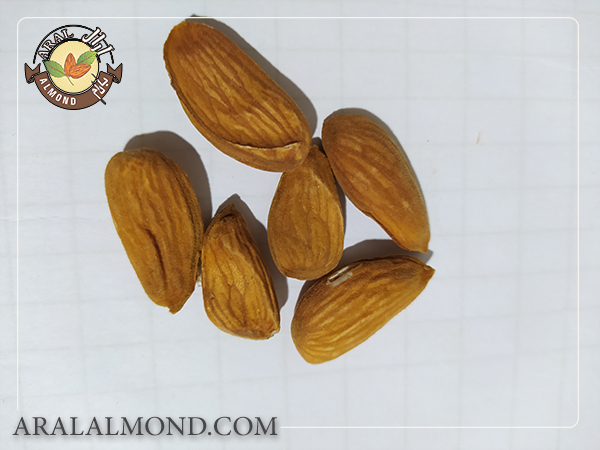 قیمت مغز بادام درجه یک