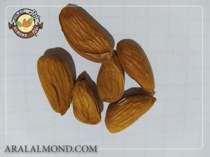 فروش مغز بادام شاهرودی به صورت اینترنتی