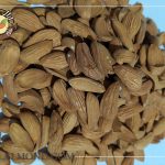 قیمت مغز بادام شاهرودی مرغوب ایرانی