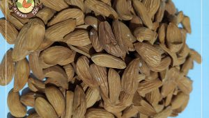 قیمت مغز بادام شاهرودی مرغوب ایرانی