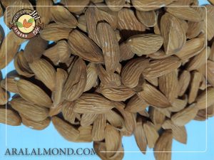 خرید اینترنتی بادام عمده با قیمت مناسب