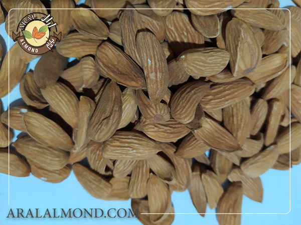خرید اینترنتی بادام عمده با قیمت مناسب
