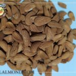 فروش اینترنتی مغز بادام شاهرودی ایرانی