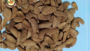 فروش اینترنتی مغز بادام شاهرودی ایرانی