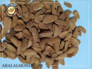 فروش اینترنتی مغز بادام شاهرودی ایرانی