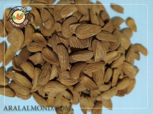 فروش اینترنتی بادام ایرانی درجه یک