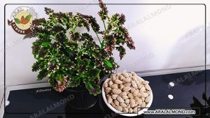 توزیع عمده بادام باکیفیت