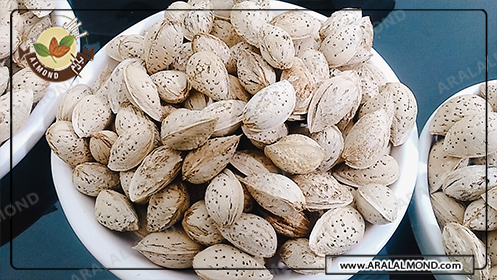 خرید بادام منقا خارجی